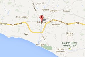 Bridport Chimney Sweep